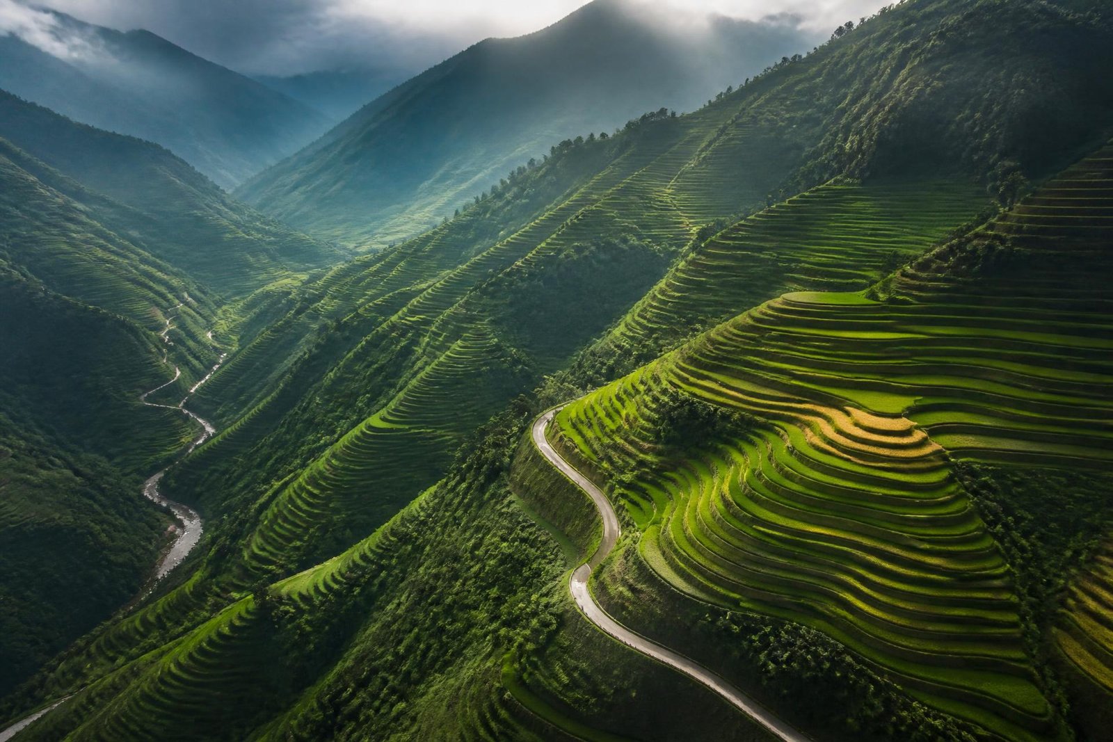 Aerial view of terraced green mountain fields at dawn